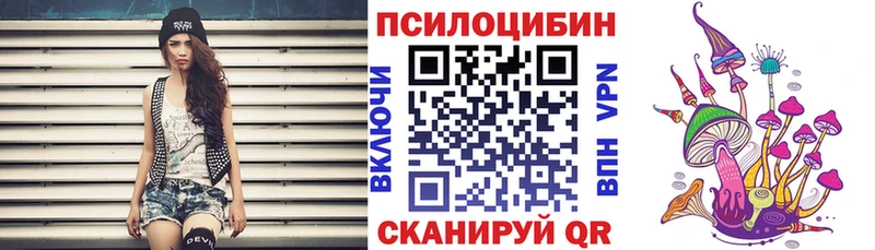 продажа наркотиков  Лаишево  Псилоцибиновые грибы MAGIC MUSHROOMS 