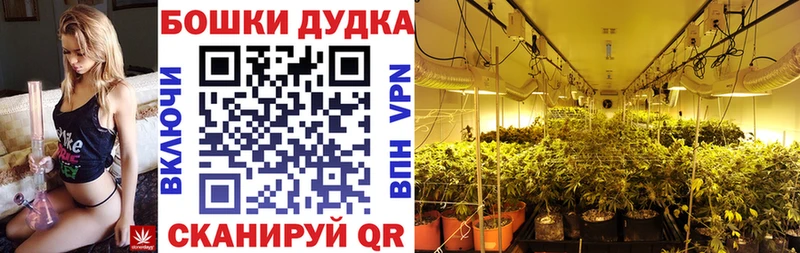 Каннабис Bruce Banner  Лаишево 